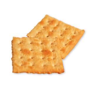 Saltine Cracker