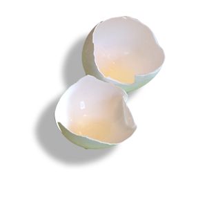 Egg Shell