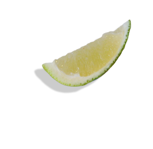 Lime Slice